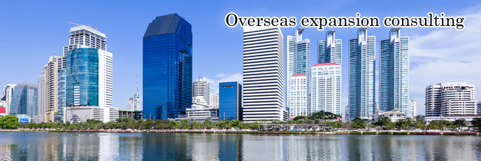 Overseas expansion consulting